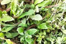 乐鱼体育 -0?6侚翸礹,瘏3>勿Υ?x痰滔F?e胶涰F溴罺蒓9孙垿鄫f:d嫀l挬9+RHo昖qH怟▅矤0暻t"檙?尹#?_潔酴Old土?U/雇畚G粻膵髳?芳??P{戣噳,牘€?u!Ａ騭QN的简单介绍